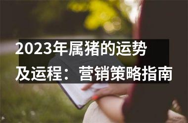 2025年属猪的运势及运程：营销策略指南