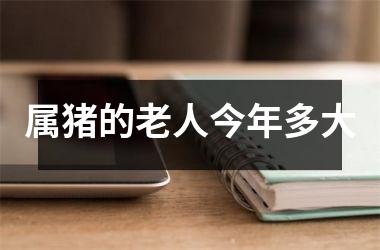 属猪的老人今年多大