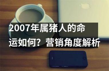 2007年属猪人的命运如何？营销角度解析