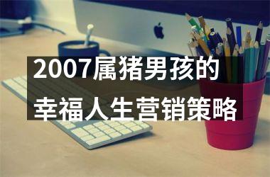 2007属猪男孩的幸福人生营销策略
