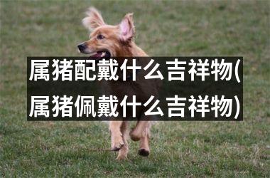 属猪配戴什么吉祥物(属猪佩戴什么吉祥物)