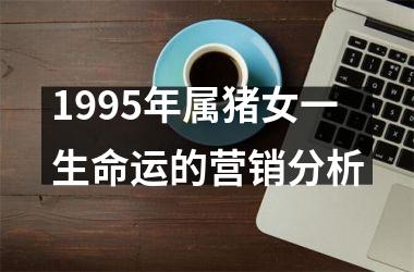 <h3>1995年属猪女一生命运的营销分析