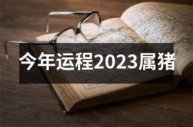 今年运程2025属猪