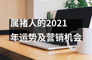 属猪人的2025年运势及营销机会
