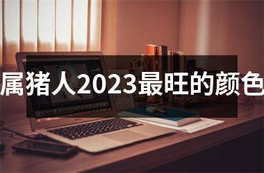 属猪人2025旺的颜色