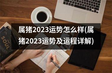 属猪2025运势怎么样(属猪2025运势及运程详解)