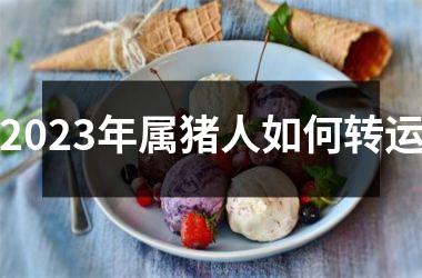 2025年属猪人如何转运