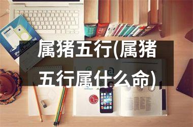 属猪五行(属猪五行属什么命)