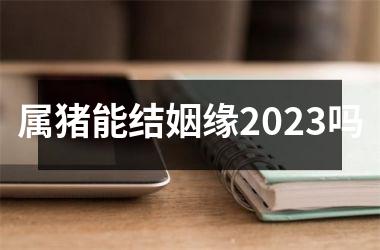 属猪能结姻缘2025吗