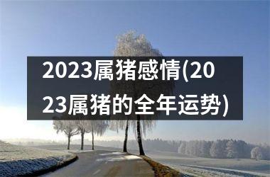 2025属猪感情(2025属猪的全年运势)
