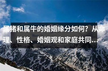属猪和属牛的婚姻缘分如何？从命理、性格、婚姻观和家庭共同点四个方面深入分析