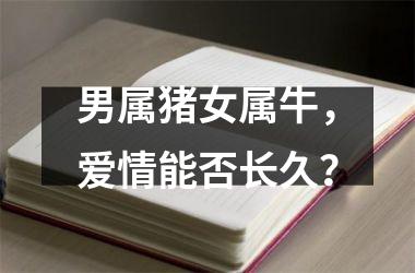 男属猪女属牛，爱情能否长久？