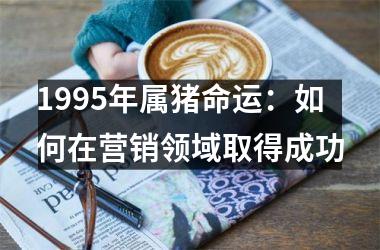 1995年属猪命运：如何在营销领域取得成功