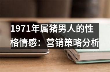 1971年属猪男人的性格情感：营销策略分析