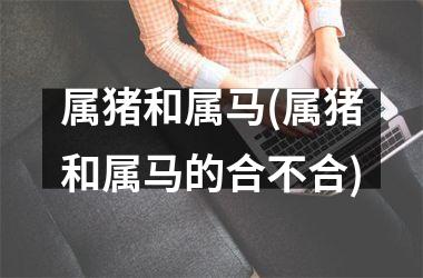 <h3>属猪和属马(属猪和属马的合不合)