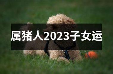 属猪人2025子女运