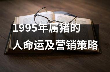 1995年属猪的人命运及营销策略