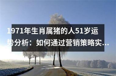 1971年生肖属猪的人51岁运势分析：如何通过营销策略实现成功和实现梦想？