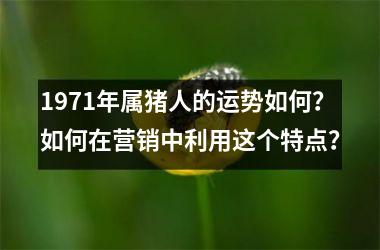 1971年属猪人的运势如何？如何在营销中利用这个特点？