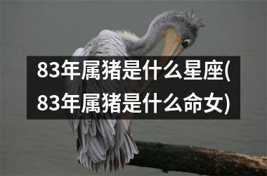 83年属猪是什么星座(83年属猪是什么命女)