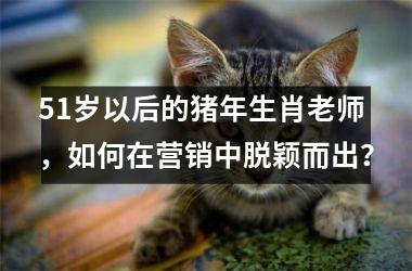51岁以后的猪年生肖老师，如何在营销中脱颖而出？