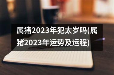 属猪2025年犯太岁吗(属猪2025年运势及运程)