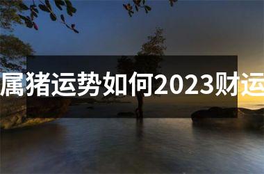 属猪运势如何2025财运