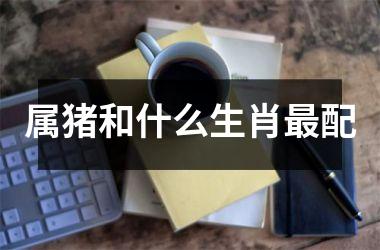 属猪和什么生肖配