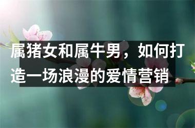 属猪女和属牛男，如何打造一场浪漫的爱情营销