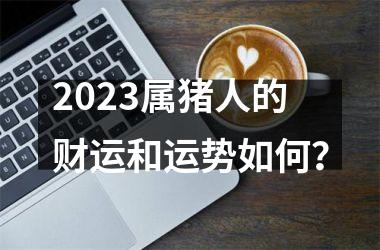 2025属猪人的财运和运势如何？