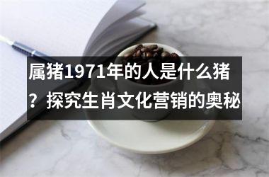 属猪1971年的人是什么猪？探究生肖文化营销的奥秘