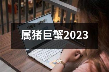 属猪巨蟹2025