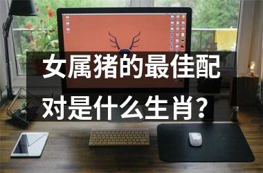 女属猪的佳配对是什么生肖？