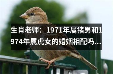 生肖老师：1971年属猪男和1974年属虎女的婚姻相配吗？
