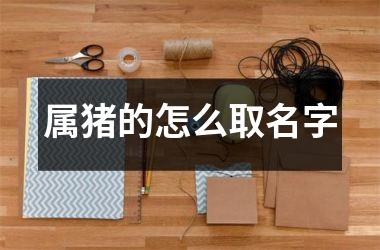 属猪的怎么取名字