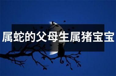 属蛇的父母生属猪宝宝
