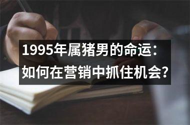 1995年属猪男的命运：如何在营销中抓住机会？
