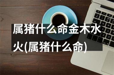 属猪什么命金木水火(属猪什么命)