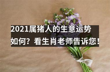 2025属猪人的生意运势如何？看生肖老师告诉您！