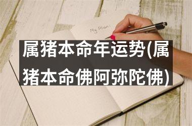 属猪本命年运势(属猪本命佛阿弥陀佛)