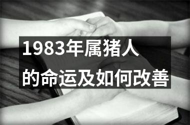 1983年属猪人的命运及如何改善