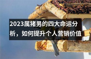 2025属猪男的四大命运分析，如何提升个人营销价值