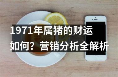 1971年属猪的财运如何？营销分析全解析