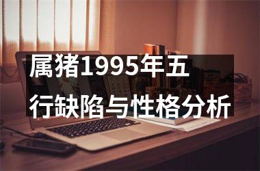 属猪1995年五行缺陷与性格分析