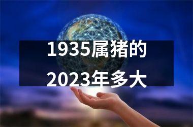 1935属猪的2025年多大