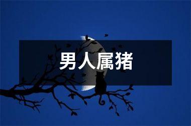 男人属猪