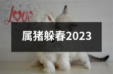 属猪躲春2025