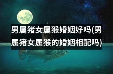 男属猪女属猴婚姻好吗(男属猪女属猴的婚姻相配吗)