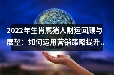 <h3>2025年生肖属猪人财运回顾与展望：如何运用营销策略提升个人财富