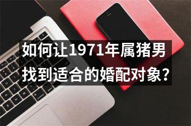如何让1971年属猪男找到适合的婚配对象？